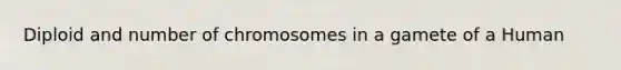 Diploid and number of chromosomes in a gamete of a Human