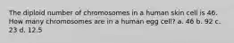 The diploid number of chromosomes in a human skin cell is 46. How many chromosomes are in a human egg cell? a. 46 b. 92 c. 23 d. 12.5