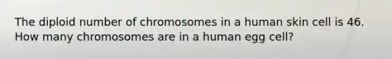 The diploid number of chromosomes in a human skin cell is 46. How many chromosomes are in a human egg cell?