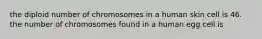 the diploid number of chromosomes in a human skin cell is 46. the number of chromosomes found in a human egg cell is