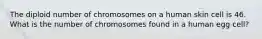 The diploid number of chromosomes on a human skin cell is 46. What is the number of chromosomes found in a human egg cell?