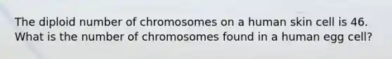 The diploid number of chromosomes on a human skin cell is 46. What is the number of chromosomes found in a human egg cell?