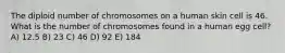 The diploid number of chromosomes on a human skin cell is 46. What is the number of chromosomes found in a human egg cell? A) 12.5 B) 23 C) 46 D) 92 E) 184