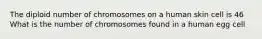 The diploid number of chromosomes on a human skin cell is 46 What is the number of chromosomes found in a human egg cell