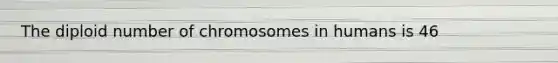 The diploid number of chromosomes in humans is 46