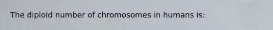 The diploid number of chromosomes in humans is: