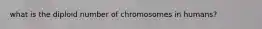 what is the diploid number of chromosomes in humans?