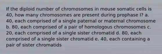 If the diploid number of chromosomes in mouse somatic cells is 40, how many chromosomes are present during prophase I? a. 40, each comprised of a single paternal or maternal chromosome b. 80, each comprised of a pair of homologous chromosomes c. 20, each comprised of a single sister chromatid d. 80, each comprised of a single sister chromatid e. 40, each containing a pair of sister chromatids