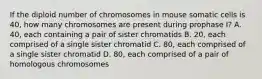 If the diploid number of chromosomes in mouse somatic cells is 40, how many chromosomes are present during prophase I? A. 40, each containing a pair of sister chromatids B. 20, each comprised of a single sister chromatid C. 80, each comprised of a single sister chromatid D. 80, each comprised of a pair of homologous chromosomes