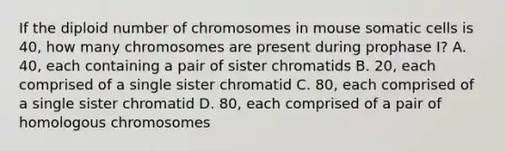 If the diploid number of chromosomes in mouse somatic cells is 40, how many chromosomes are present during prophase I? A. 40, each containing a pair of sister chromatids B. 20, each comprised of a single sister chromatid C. 80, each comprised of a single sister chromatid D. 80, each comprised of a pair of homologous chromosomes