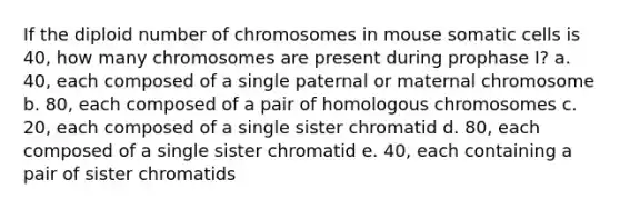 If the diploid number of chromosomes in mouse somatic cells is 40, how many chromosomes are present during prophase I? a. 40, each composed of a single paternal or maternal chromosome b. 80, each composed of a pair of homologous chromosomes c. 20, each composed of a single sister chromatid d. 80, each composed of a single sister chromatid e. 40, each containing a pair of sister chromatids