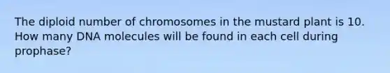 The diploid number of chromosomes in the mustard plant is 10. How many DNA molecules will be found in each cell during prophase?