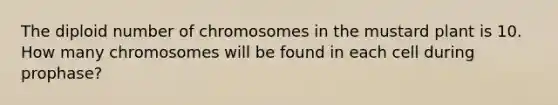 The diploid number of chromosomes in the mustard plant is 10. How many chromosomes will be found in each cell during prophase?