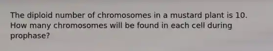 The diploid number of chromosomes in a mustard plant is 10. How many chromosomes will be found in each cell during prophase?