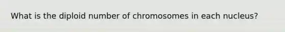 What is the diploid number of chromosomes in each nucleus?