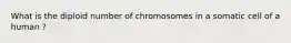 What is the diploid number of chromosomes in a somatic cell of a human ?