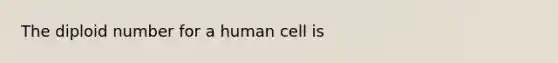 The diploid number for a human cell is