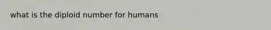 what is the diploid number for humans