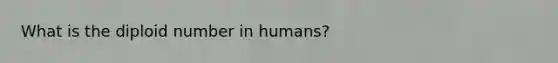 What is the diploid number in humans?