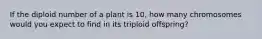 If the diploid number of a plant is 10, how many chromosomes would you expect to find in its triploid offspring?