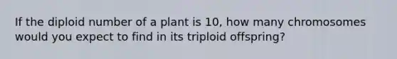 If the diploid number of a plant is 10, how many chromosomes would you expect to find in its triploid offspring?