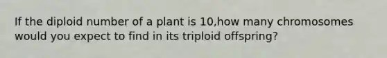 If the diploid number of a plant is 10,how many chromosomes would you expect to find in its triploid offspring?