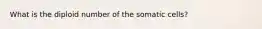 What is the diploid number of the somatic cells?