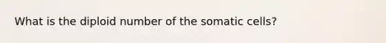 What is the diploid number of the somatic cells?