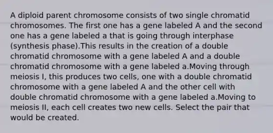 A diploid parent chromosome consists of two single chromatid chromosomes. The first one has a gene labeled A and the second one has a gene labeled a that is going through interphase (synthesis phase).This results in the creation of a double chromatid chromosome with a gene labeled A and a double chromatid chromosome with a gene labeled a.Moving through meiosis I, this produces two cells, one with a double chromatid chromosome with a gene labeled A and the other cell with double chromatid chromosome with a gene labeled a.Moving to meiosis II, each cell creates two new cells. Select the pair that would be created.