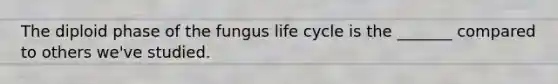 The diploid phase of the fungus life cycle is the _______ compared to others we've studied.