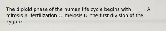 The diploid phase of the human life cycle begins with _____. A. mitosis B. fertilization C. meiosis D. the first division of the zygote