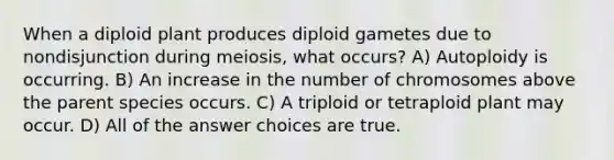 When a diploid plant produces diploid gametes due to nondisjunction during meiosis, what occurs? A) Autoploidy is occurring. B) An increase in the number of chromosomes above the parent species occurs. C) A triploid or tetraploid plant may occur. D) All of the answer choices are true.