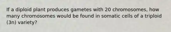 If a diploid plant produces gametes with 20 chromosomes, how many chromosomes would be found in somatic cells of a triploid (3n) variety?