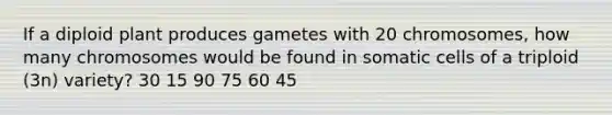 If a diploid plant produces gametes with 20 chromosomes, how many chromosomes would be found in somatic cells of a triploid (3n) variety? 30 15 90 75 60 45