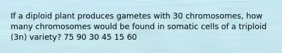 If a diploid plant produces gametes with 30 chromosomes, how many chromosomes would be found in somatic cells of a triploid (3n) variety? 75 90 30 45 15 60