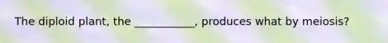 The diploid plant, the ___________, produces what by meiosis?