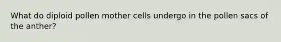 What do diploid pollen mother cells undergo in the pollen sacs of the anther?