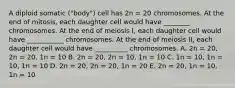 A diploid somatic ("body") cell has 2n = 20 chromosomes. At the end of mitosis, each daughter cell would have ________ chromosomes. At the end of meiosis I, each daughter cell would have ___________ chromosomes. At the end of meiosis II, each daughter cell would have __________ chromosomes. A. 2n = 20, 2n = 20, 1n = 10 B. 2n = 20, 2n = 10, 1n = 10 C. 1n = 10, 1n = 10, 1n = 10 D. 2n = 20, 2n = 20, 1n = 20 E. 2n = 20, 1n = 10, 1n = 10