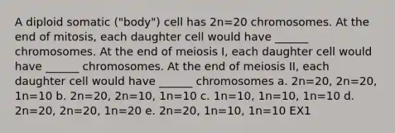 A diploid somatic ("body") cell has 2n=20 chromosomes. At the end of mitosis, each daughter cell would have ______ chromosomes. At the end of meiosis I, each daughter cell would have ______ chromosomes. At the end of meiosis II, each daughter cell would have ______ chromosomes a. 2n=20, 2n=20, 1n=10 b. 2n=20, 2n=10, 1n=10 c. 1n=10, 1n=10, 1n=10 d. 2n=20, 2n=20, 1n=20 e. 2n=20, 1n=10, 1n=10 EX1