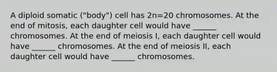 A diploid somatic ("body") cell has 2n=20 chromosomes. At the end of mitosis, each daughter cell would have ______ chromosomes. At the end of meiosis I, each daughter cell would have ______ chromosomes. At the end of meiosis II, each daughter cell would have ______ chromosomes.