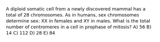 A diploid somatic cell from a newly discovered mammal has a total of 28 chromosomes. As in humans, sex chromosomes determine sex: XX in females and XY in males. What is the total number of centromeres in a cell in prophase of mitosis? A) 56 B) 14 C) 112 D) 28 E) 84