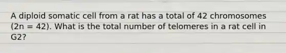 A diploid somatic cell from a rat has a total of 42 chromosomes (2n = 42). What is the total number of telomeres in a rat cell in G2?