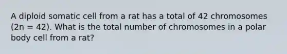 A diploid somatic cell from a rat has a total of 42 chromosomes (2n = 42). What is the total number of chromosomes in a polar body cell from a rat?