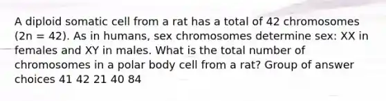 A diploid somatic cell from a rat has a total of 42 chromosomes (2n = 42). As in humans, sex chromosomes determine sex: XX in females and XY in males. What is the total number of chromosomes in a polar body cell from a rat? Group of answer choices 41 42 21 40 84