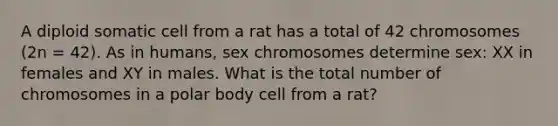 A diploid somatic cell from a rat has a total of 42 chromosomes (2n = 42). As in humans, sex chromosomes determine sex: XX in females and XY in males. What is the total number of chromosomes in a polar body cell from a rat?