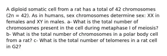 A diploid somatic cell from a rat has a total of 42 chromosomes (2n = 42). As in humans, sex chromosomes determine sex: XX in females and XY in males. a- What is the total number of chromosomes present in the cell during metaphase I of meiosis? b- What is the total number of chromosomes in a polar body cell from a rat? c- What is the total number of telomeres in a rat cell in G2?