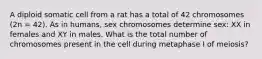 A diploid somatic cell from a rat has a total of 42 chromosomes (2n = 42). As in humans, sex chromosomes determine sex: XX in females and XY in males. What is the total number of chromosomes present in the cell during metaphase I of meiosis?