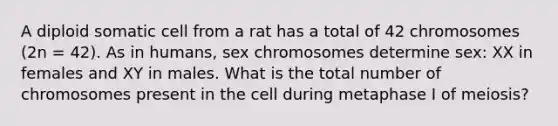 A diploid somatic cell from a rat has a total of 42 chromosomes (2n = 42). As in humans, sex chromosomes determine sex: XX in females and XY in males. What is the total number of chromosomes present in the cell during metaphase I of meiosis?