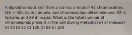 A diploid somatic cell from a rat has a total of 42 chromosomes (2n = 42). As in humans, sex chromosomes determine sex: XX in females and XY in males. What is the total number of chromosomes present in the cell during metaphase I of meiosis? A) 42 B) 21 C) 126 D) 84 E) 168