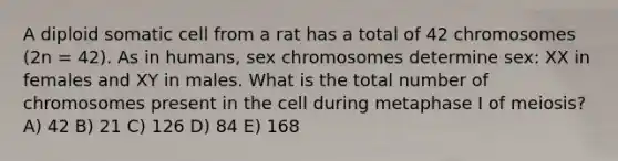 A diploid somatic cell from a rat has a total of 42 chromosomes (2n = 42). As in humans, sex chromosomes determine sex: XX in females and XY in males. What is the total number of chromosomes present in the cell during metaphase I of meiosis? A) 42 B) 21 C) 126 D) 84 E) 168